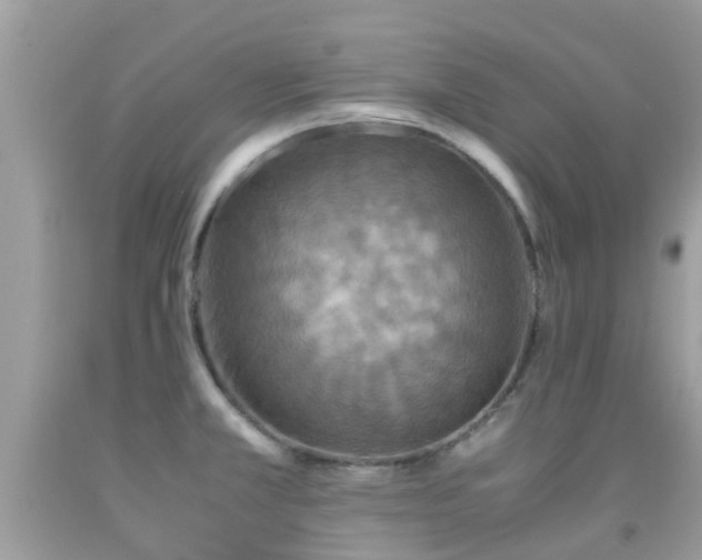 X0000091961381200709061252