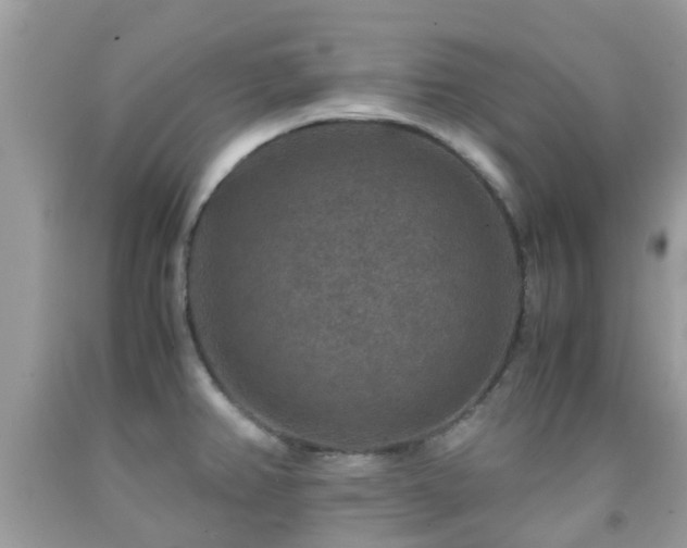 X0000091961382200709061252