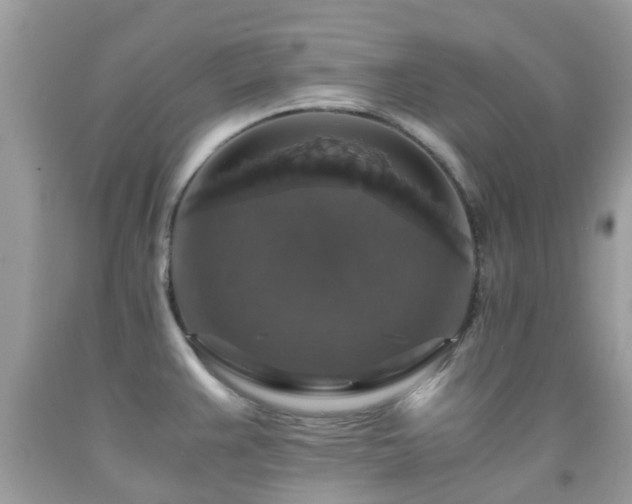 X0000091961383200709061252