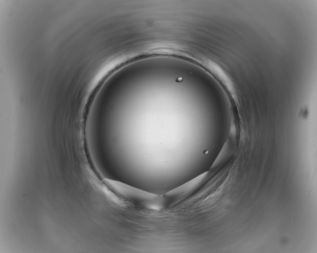 X0000091961384200709061252