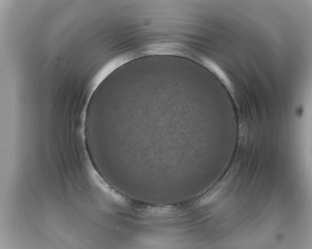 X0000091961386200709061252