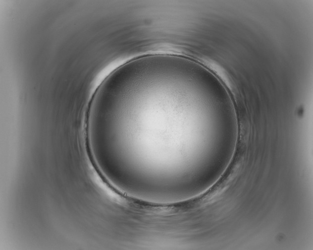 X0000091961387200709061252