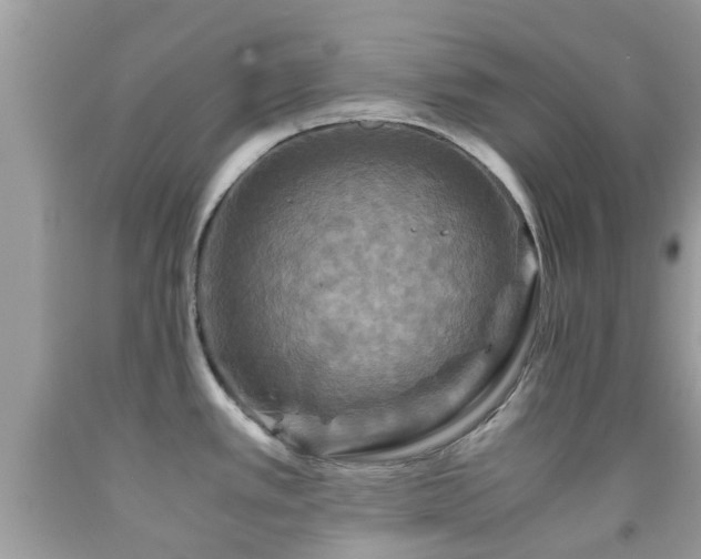 X0000091961389200709061252