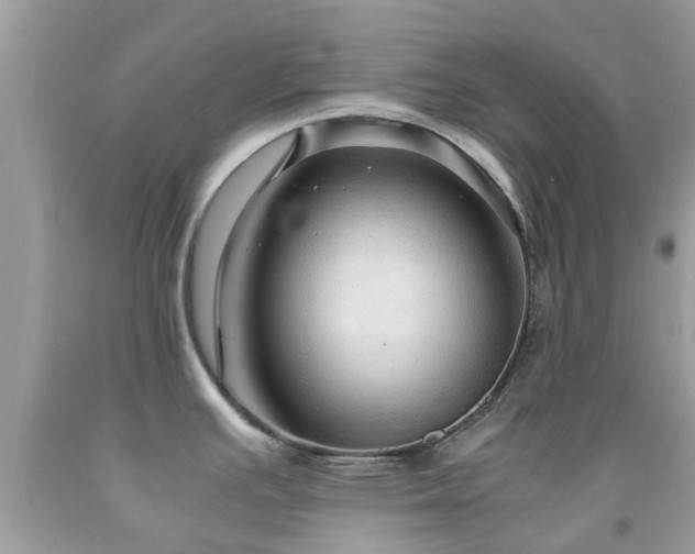 X0000091961391200709061252