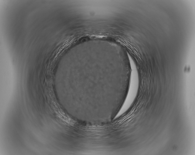 X0000091961393200709061252