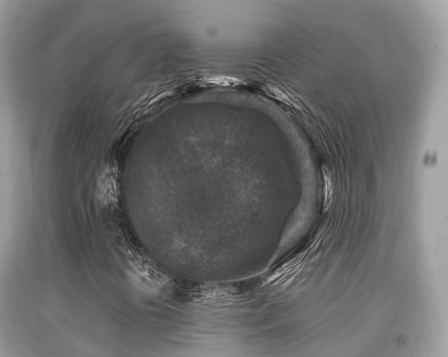 X0000091961394200709061252