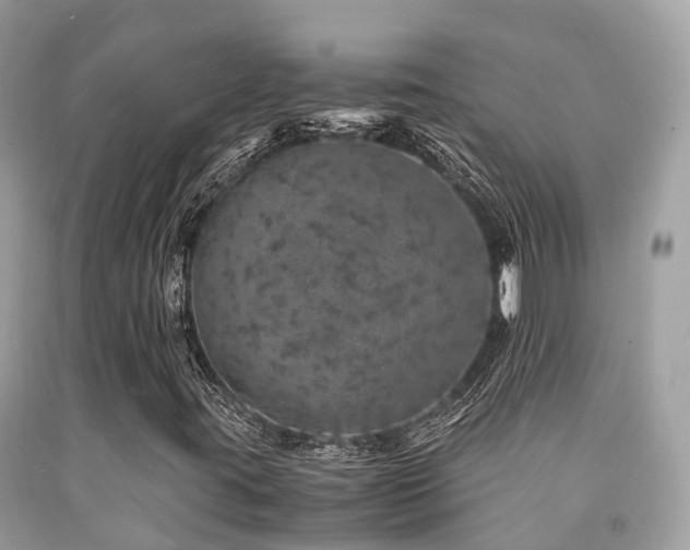 X0000091961395200709061252