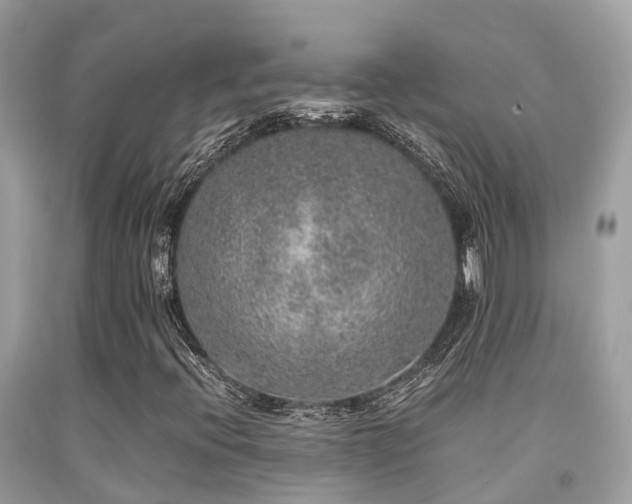 X0000091961396200709061252