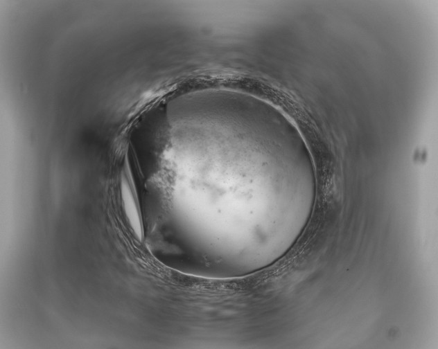 X0000091961397200709061252