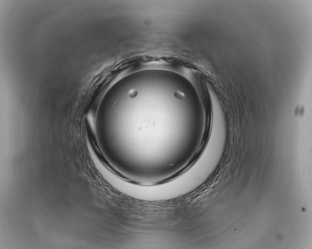 X0000091961398200709061252