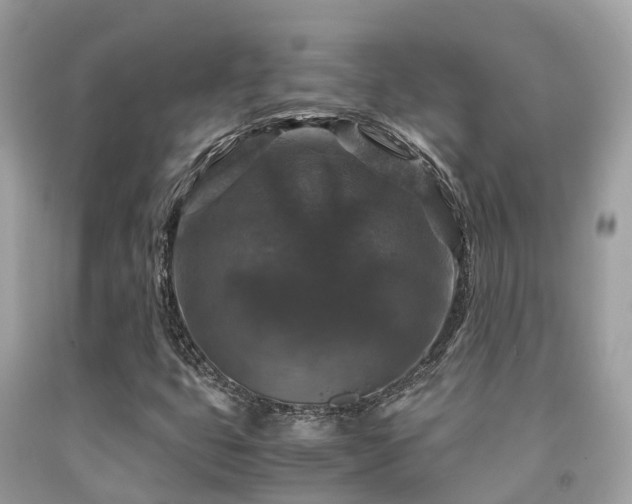 X0000091961399200709061252