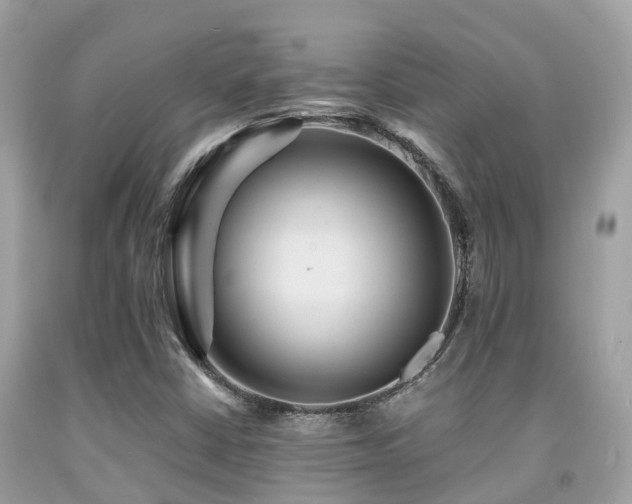 X0000091961402200709061252