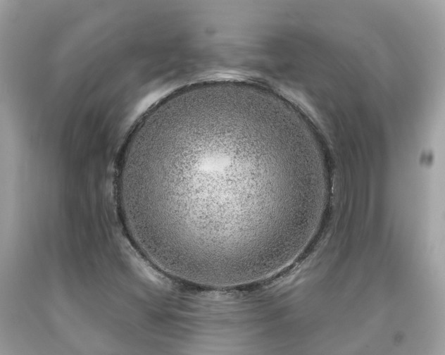 X0000091961404200709061252