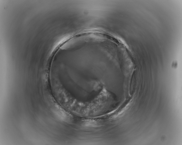 X0000091961405200709061252