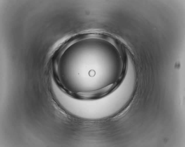 X0000091961406200709061252