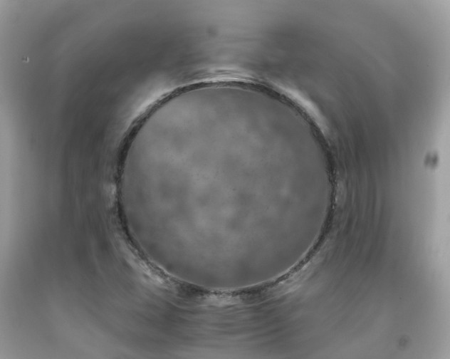 X0000091961407200709061252