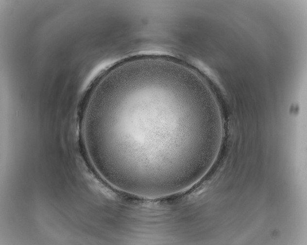 X0000091961408200709061252