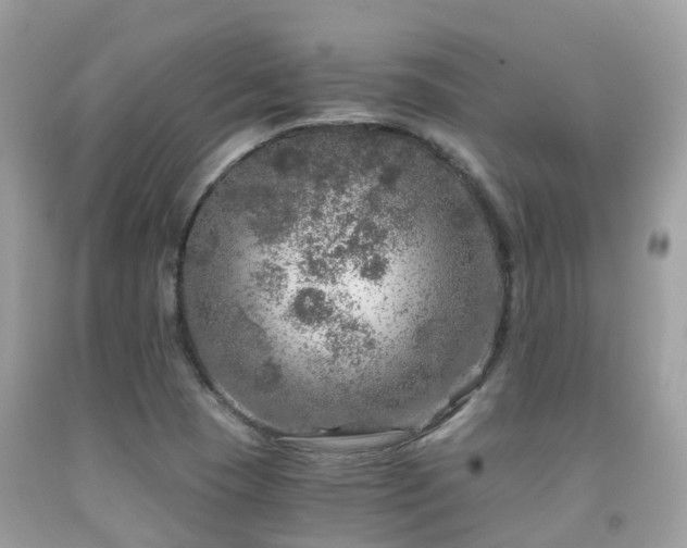 X0000091961409200709061252