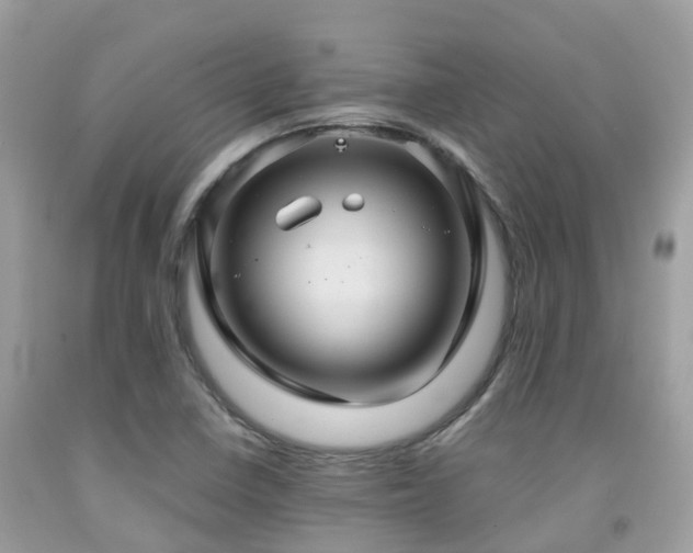 X0000091961410200709061252