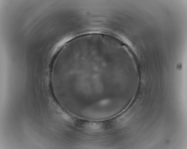 X0000091961411200709061252