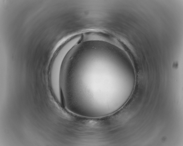 X0000091961412200709061252