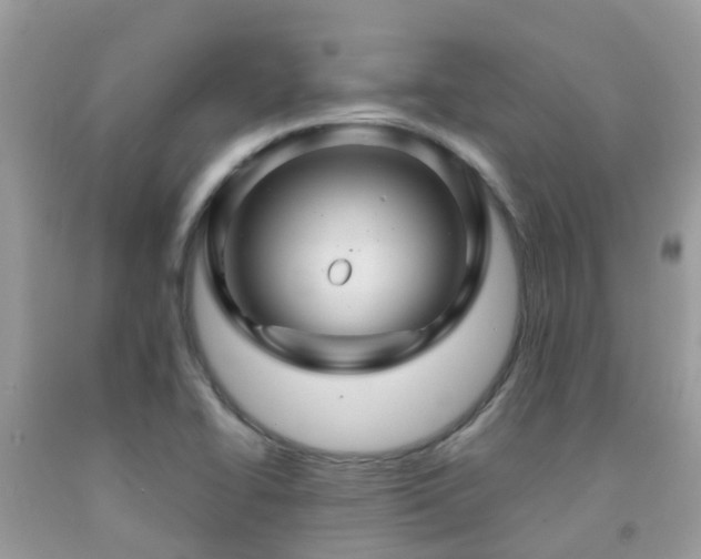 X0000091961414200709061252