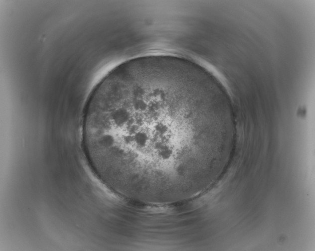 X0000091961415200709061252