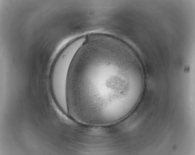 X0000091961416200709061252