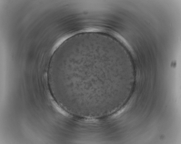 X0000091961417200709061252