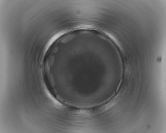 X0000091961418200709061252