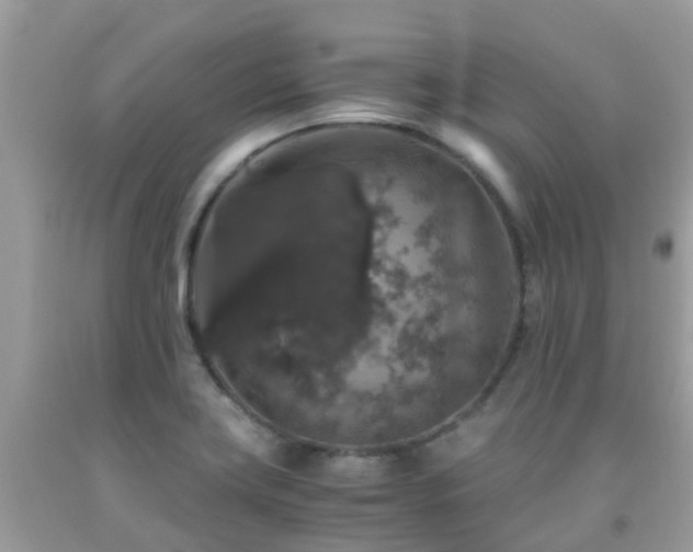 X0000091961419200709061252