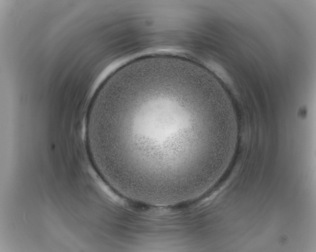 X0000091961420200709061252