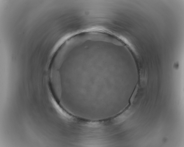 X0000091961422200709061252