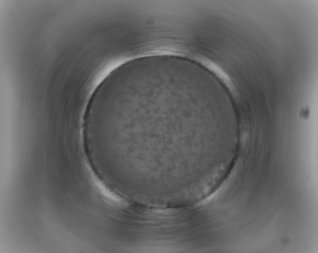 X0000091961423200709061252