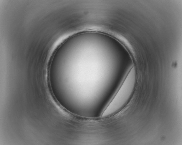 X0000091961424200709061252