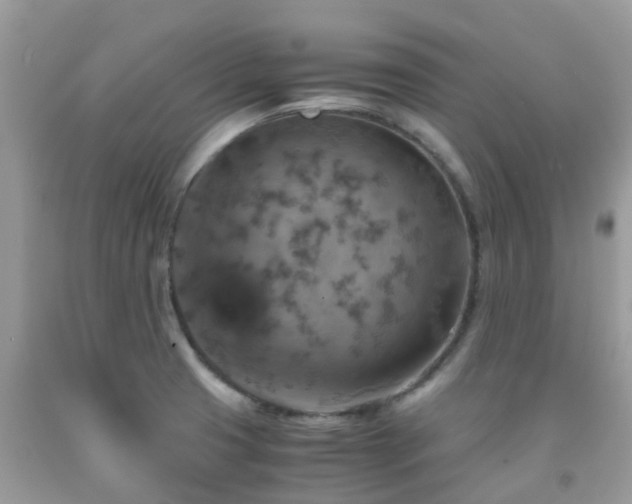 X0000091961425200709061252