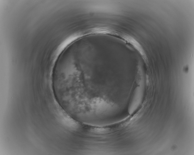 X0000091961427200709061252