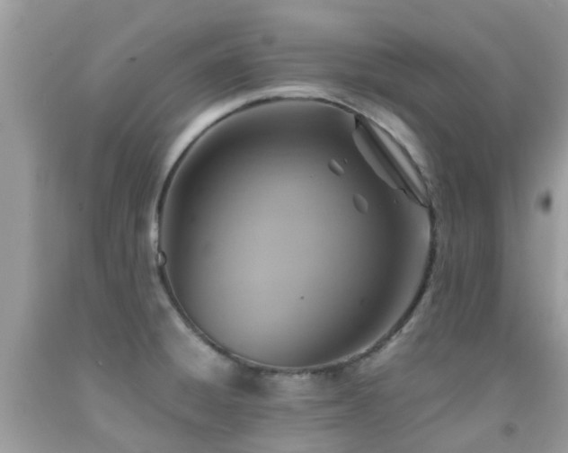 X0000091961428200709061252