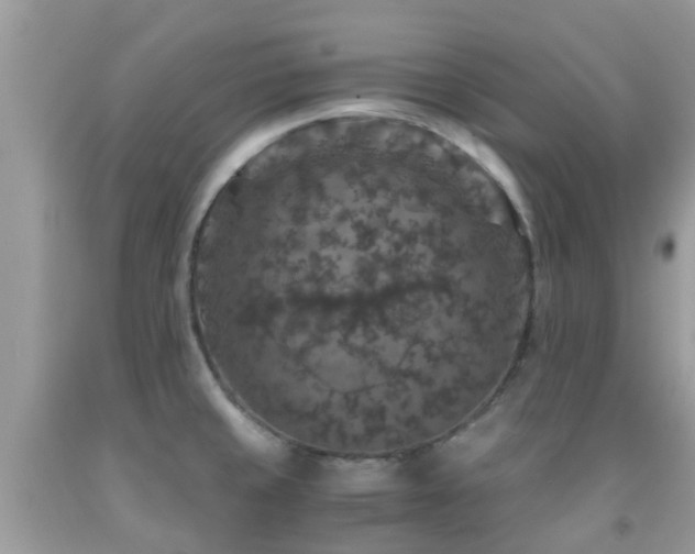 X0000091961429200709061252