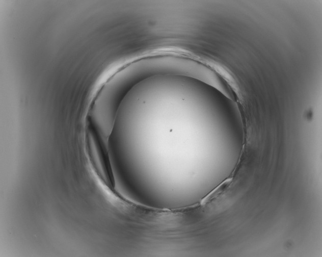 X0000091961430200709061252