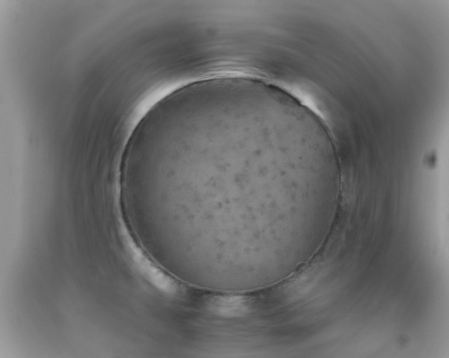 X0000091961431200709061252