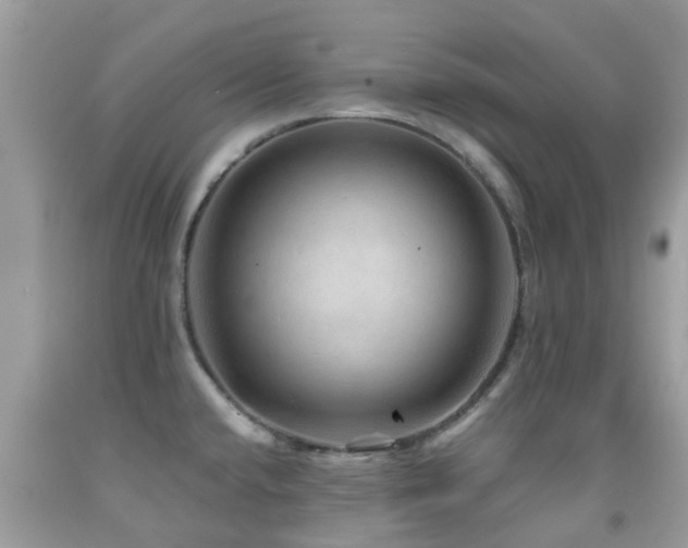 X0000091961432200709061252