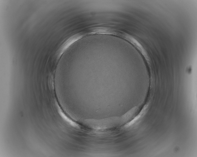 X0000091961433200709061252