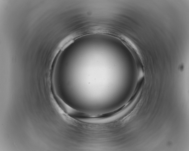 X0000091961434200709061252