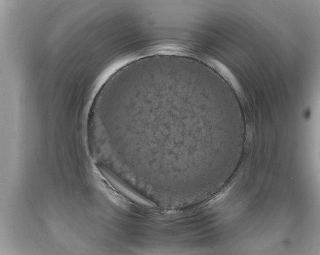 X0000091961435200709061252