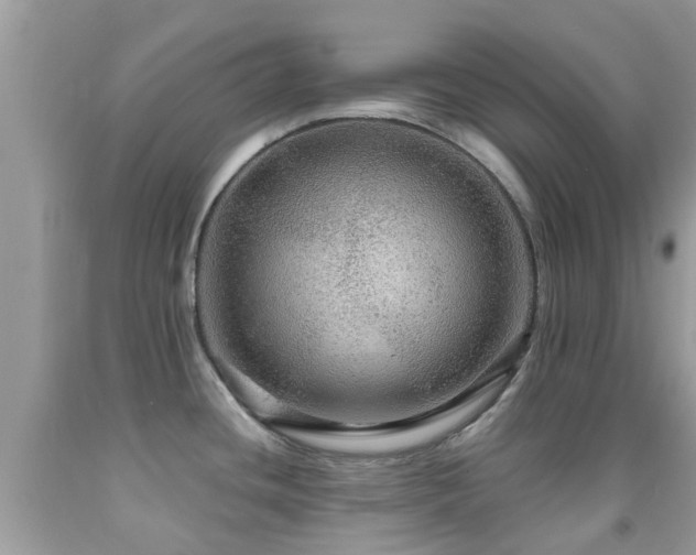 X0000091961436200709061252