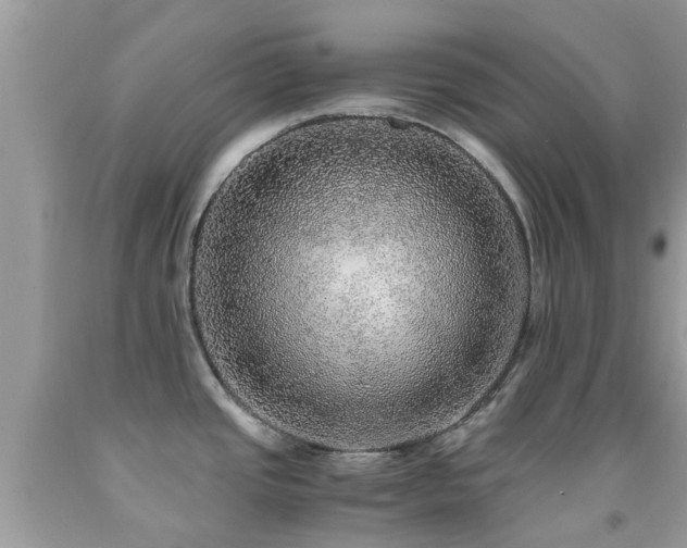 X0000091961437200709061252