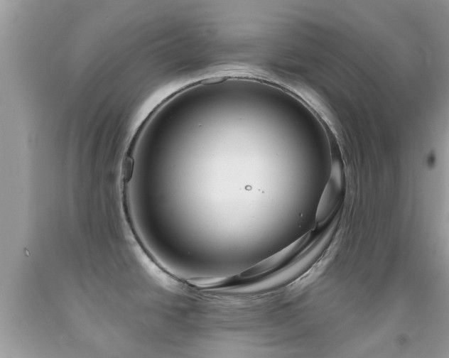 X0000091961438200709061252