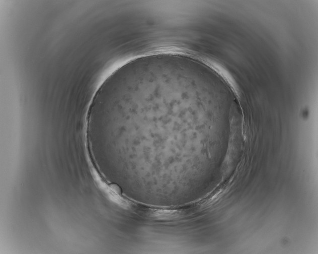 X0000091961439200709061252