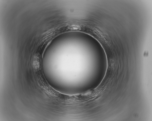 X0000091961442200709061252